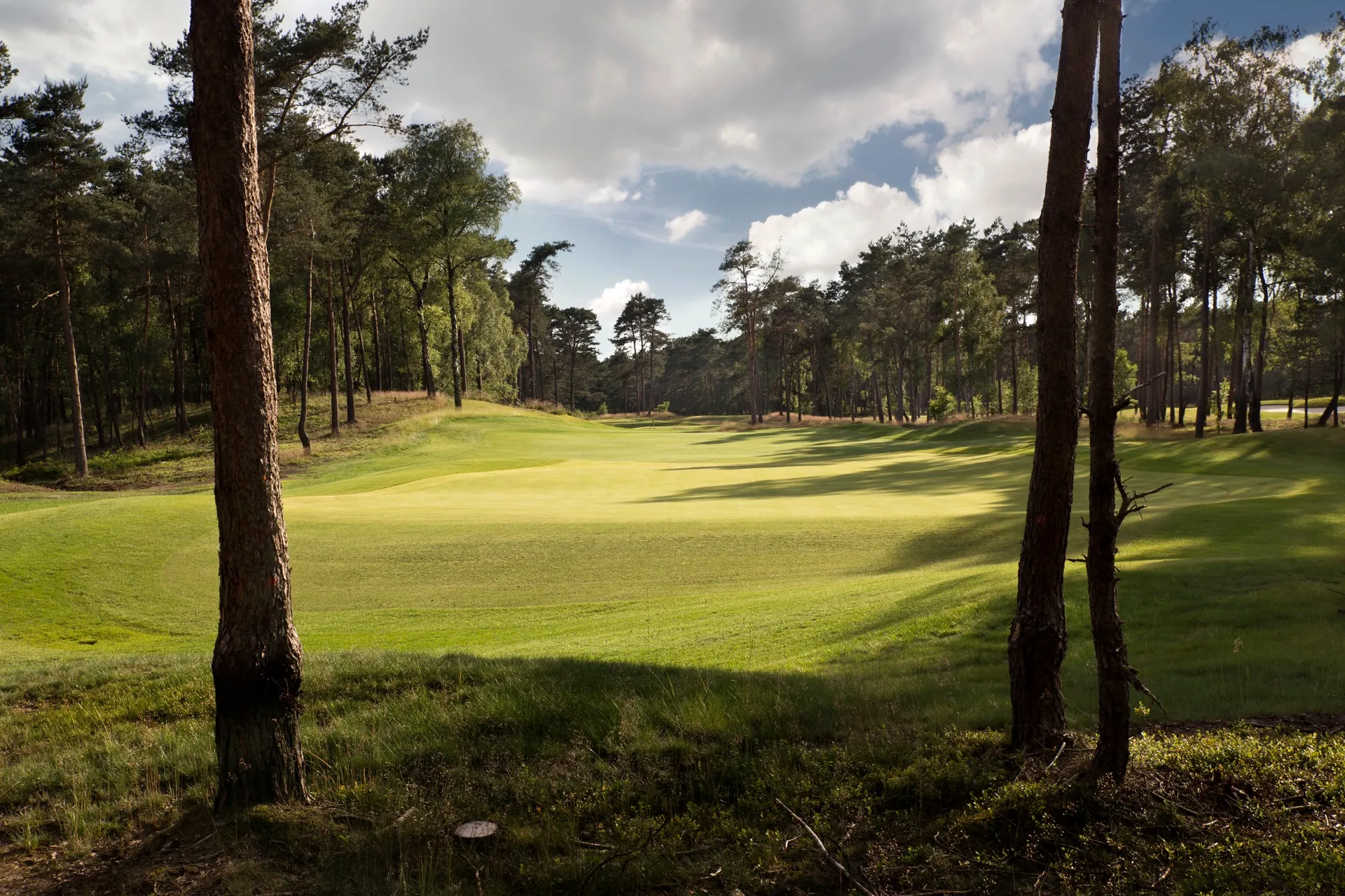 De Rosendaelsche Golfclub bij Arnhem